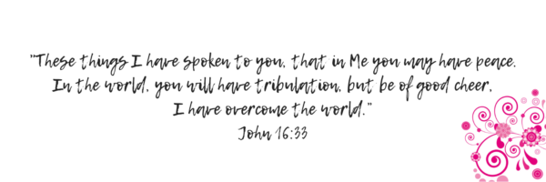 John 16:33 These things I have spoken unto you...